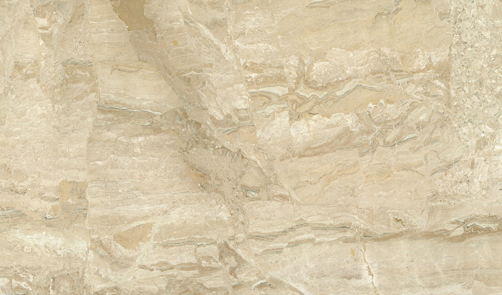 Daino Reale Турецкий