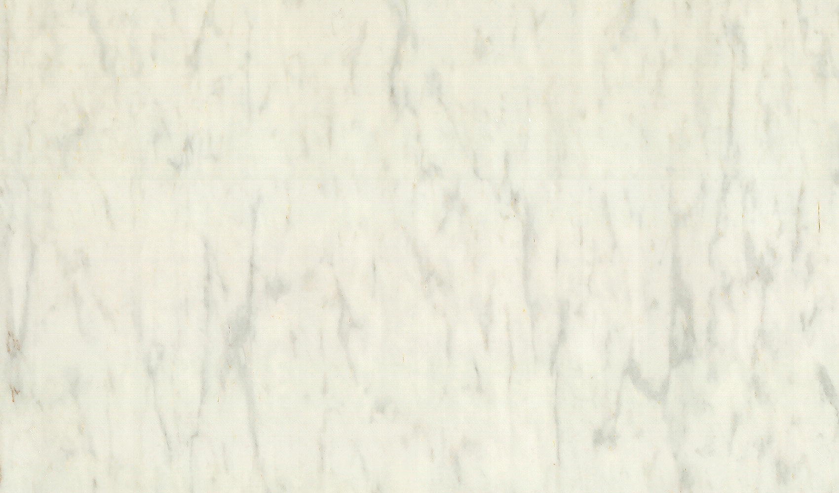 Полоцкий Белый