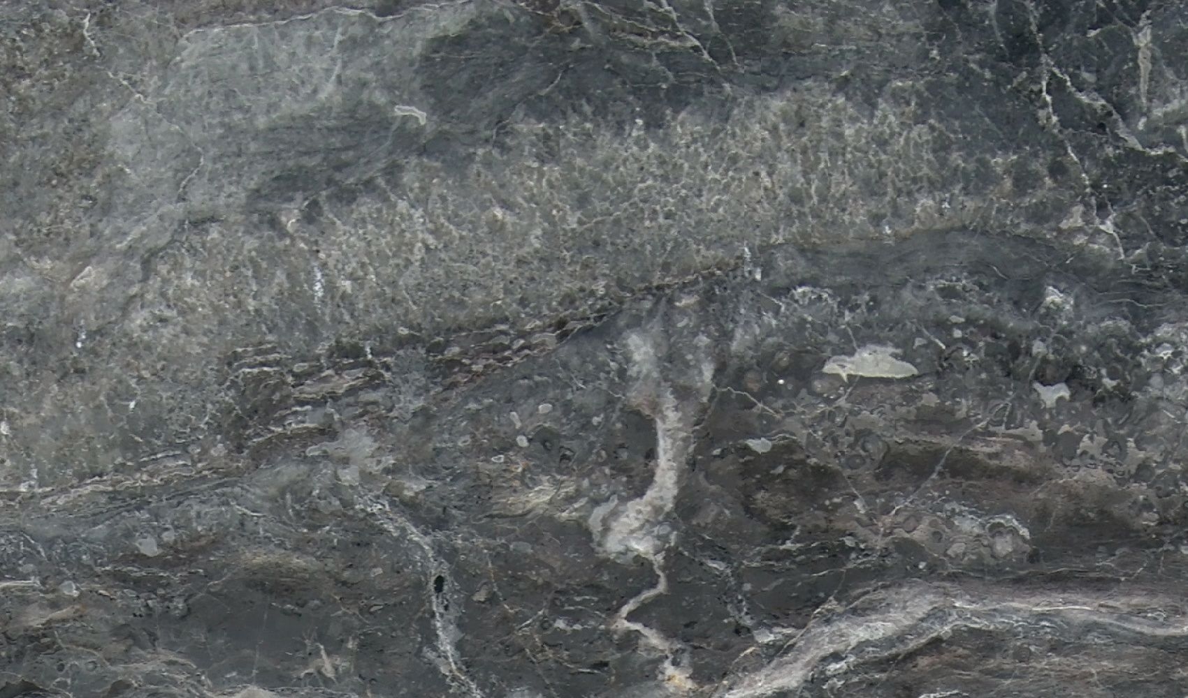 Arabescato Orobico New — Мрамор