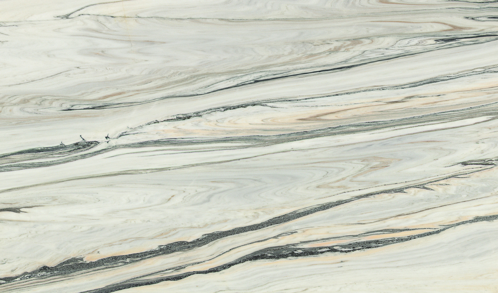 Covelano Macchia Vecchia